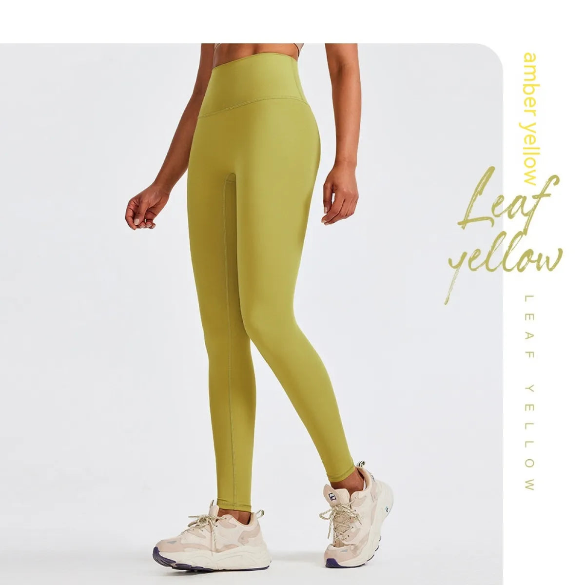 CurveFit Plus Size Fitness Leggings