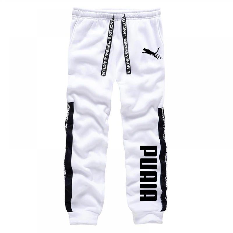 Men's Casual Hoodie & Joggers Tracksuit Set