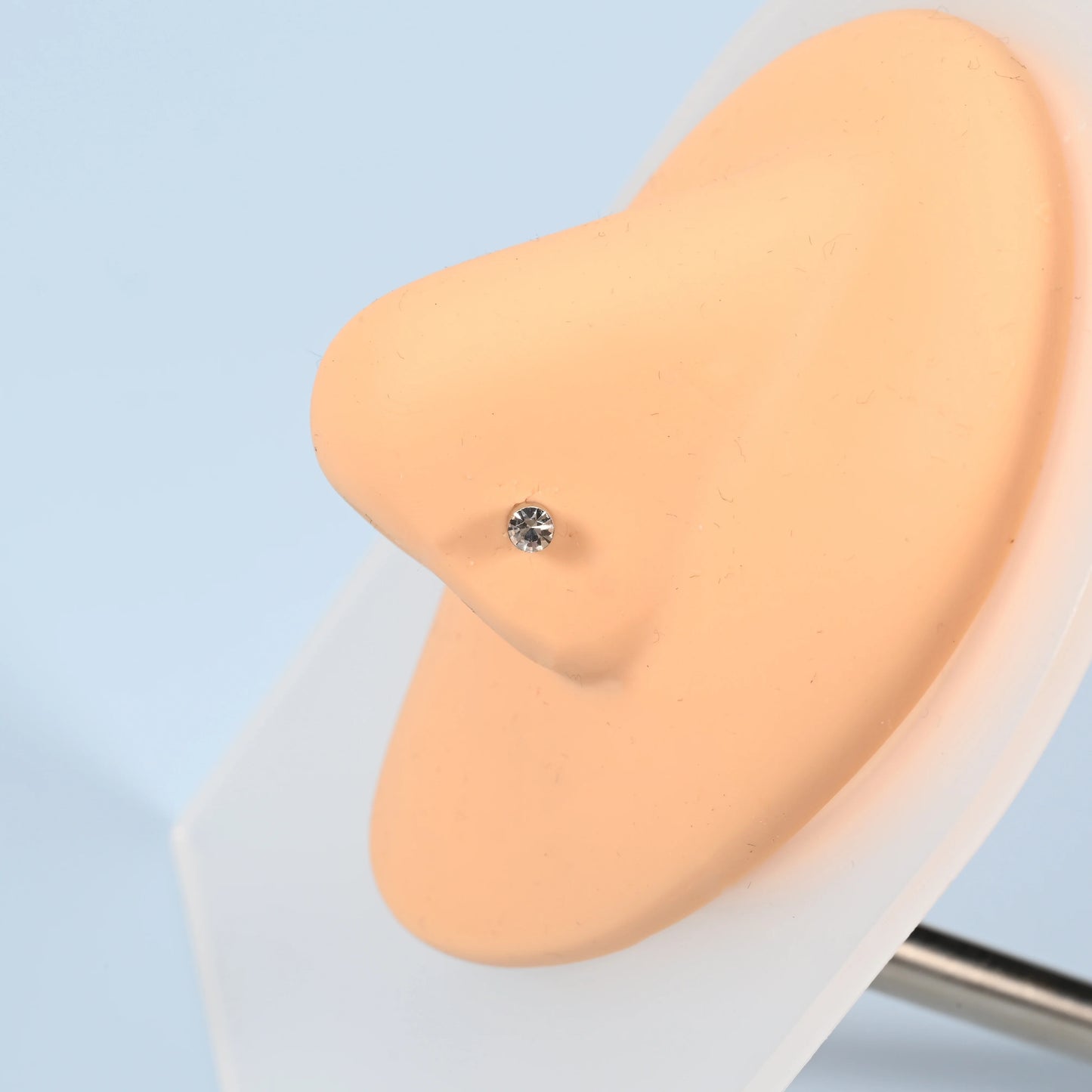 Classic Stainless Steel Stud Earrings