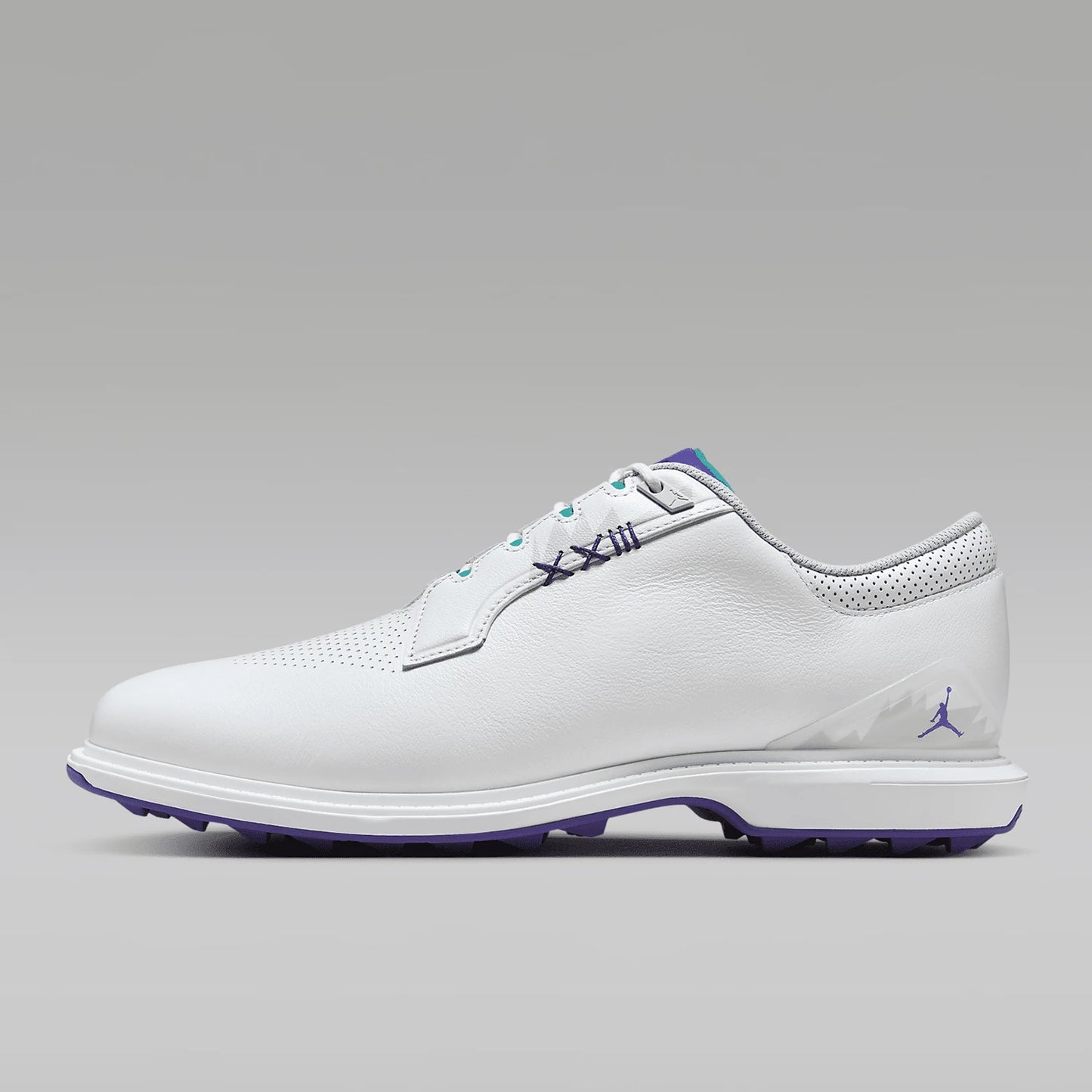 Jordan ADG 5 Men's Golf Shoes – FQ7874-100